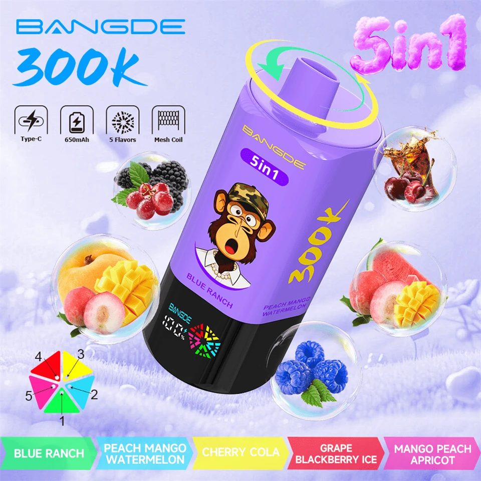 BANG DE 300K-5in1 Puffs Vape best