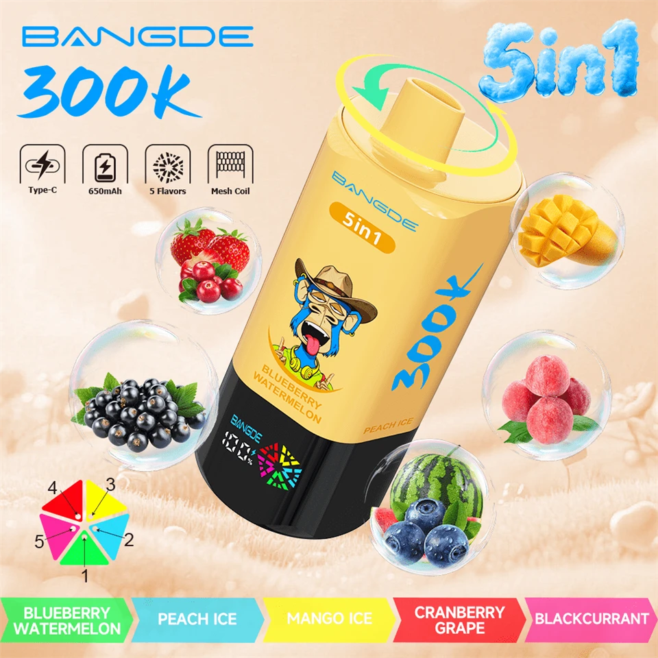 BANG DE 300K-5in1 Puffs Vape factory