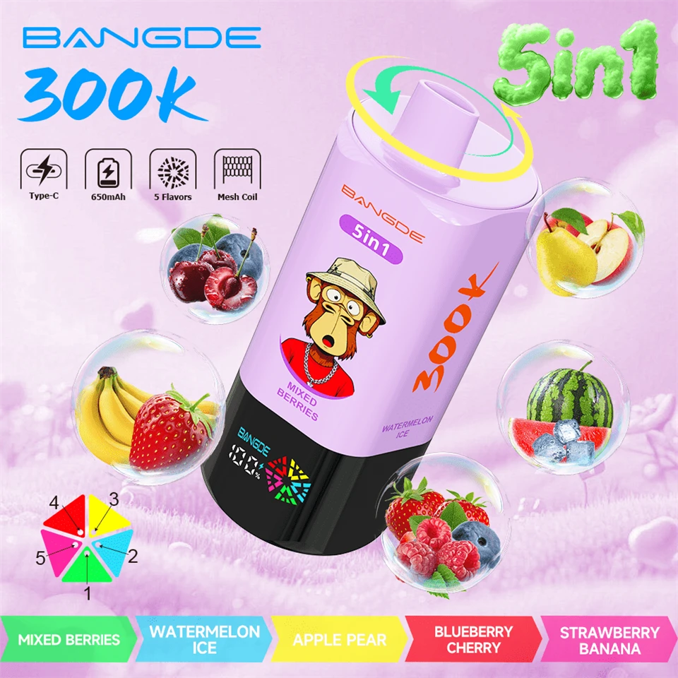 BANG DE 300K-5in1 Puffs Vape suppliers