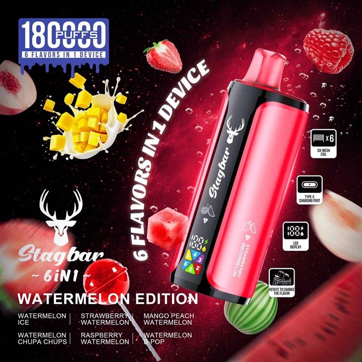 Stagbar 6 IN 1 180K Puffs Eu Warehouse Vape suppliers